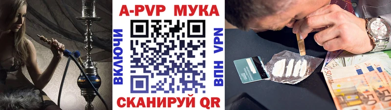 A-PVP СК  KRAKEN вход  Шенкурск 