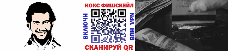 Кокаин FishScale  Шенкурск 