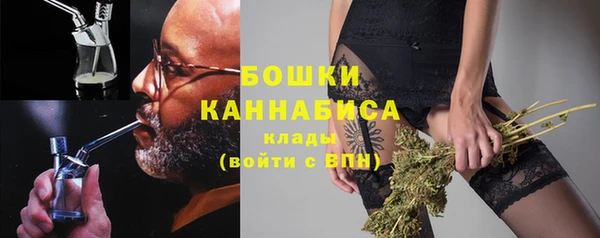 ПСИЛОЦИБИНОВЫЕ ГРИБЫ Пестово