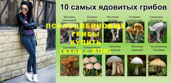 меф VHQ Богданович