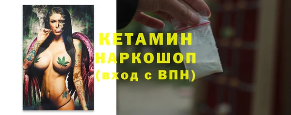 шишки Дмитров
