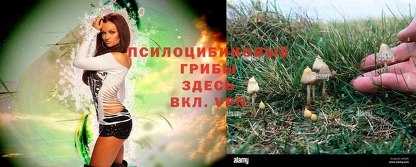 мяу мяу мука Богородск