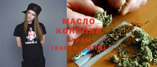 ешки Дмитриев